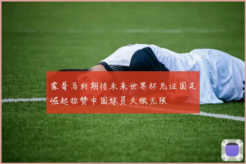 蒙哥马利期待未来世界杯见证国足崛起称赞中国球员天赋无限